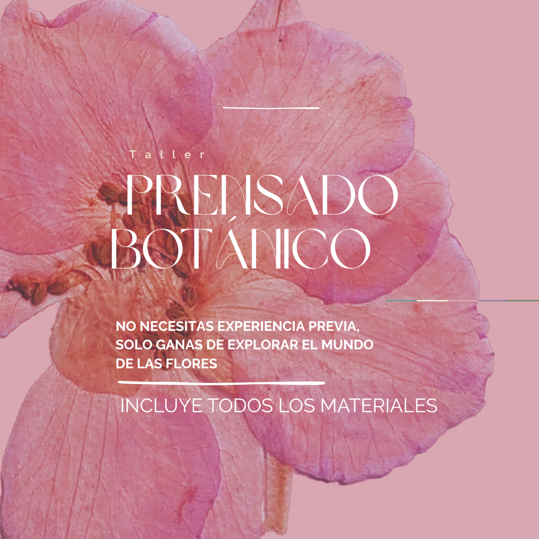 🌸 Taller de Prensado Botánico