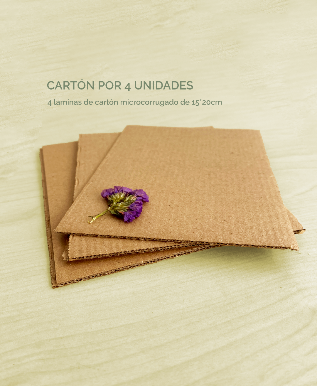 🌸 Kit Prensa Botánica – “Florece donde estés”
